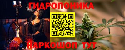 хмурый Гай