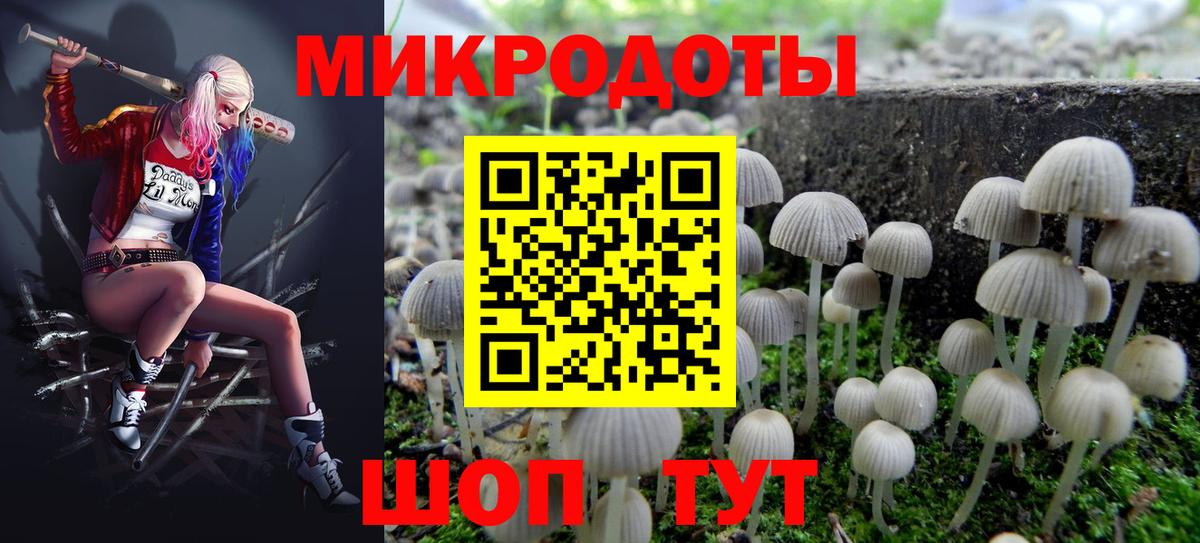 Новоалтайск  Псилоцибиновые грибы прущие грибы  Вход с VPN 