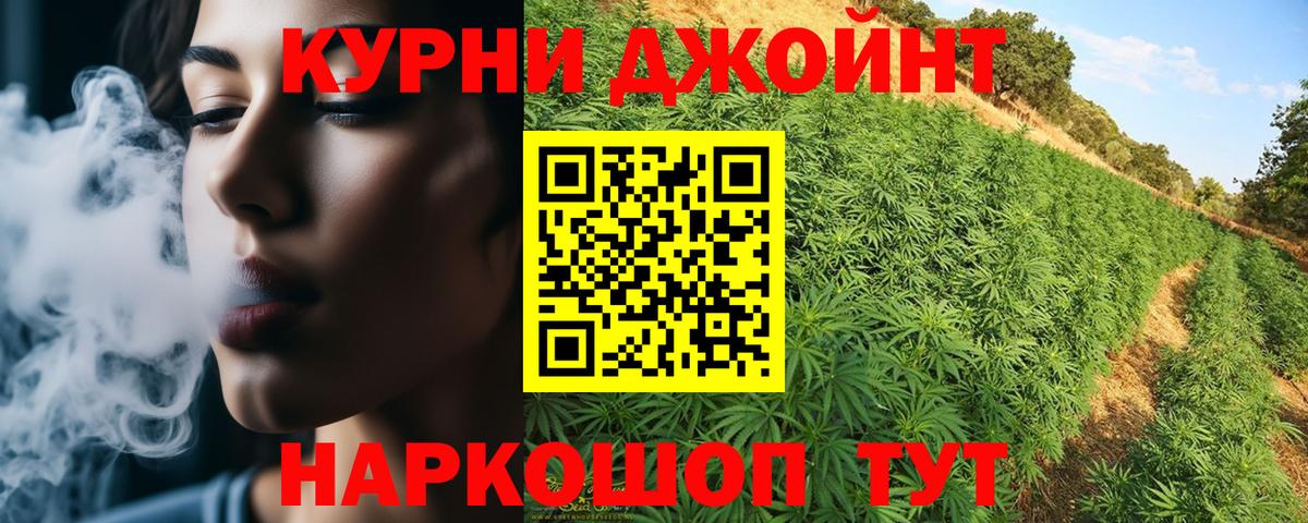 Канабис план Новоалтайск